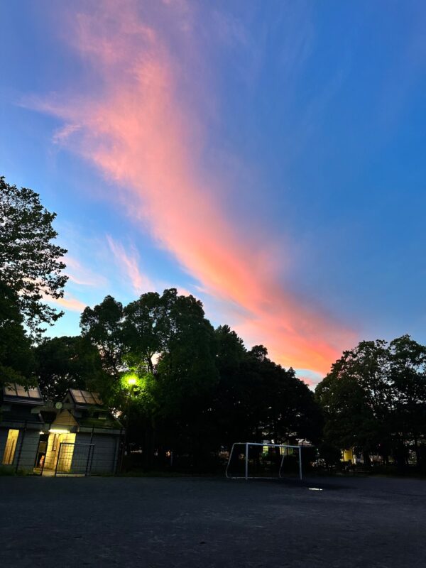 【最優秀】 37また来るね