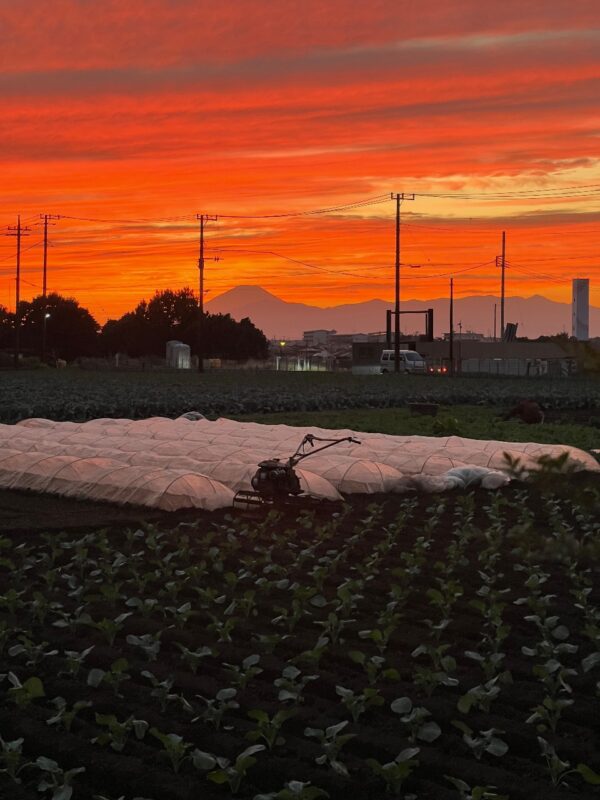 【最優秀】200片倉の畑と富士山