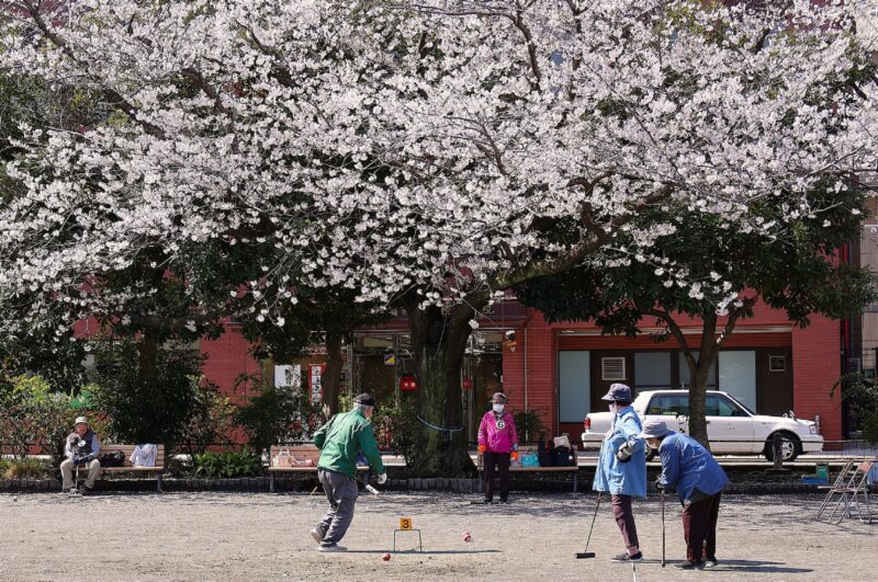 最優秀賞「花の下」(反町公園