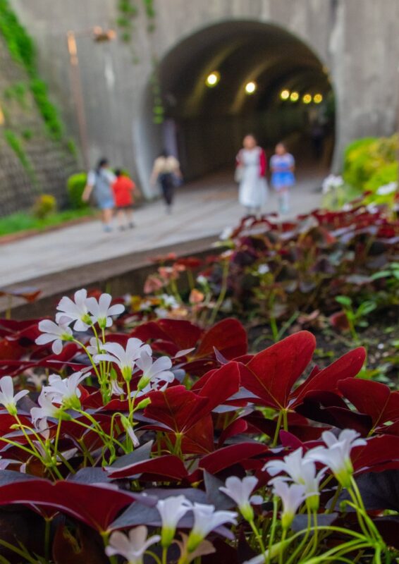 優秀賞「ありがたいトンネル」(東横フラワー緑道)