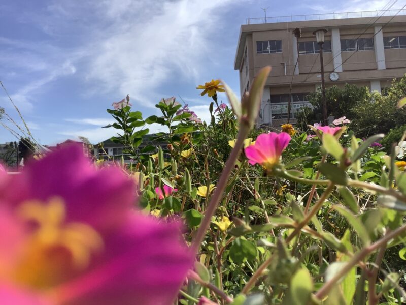 優秀賞「学校と花」(三ツ沢中町)