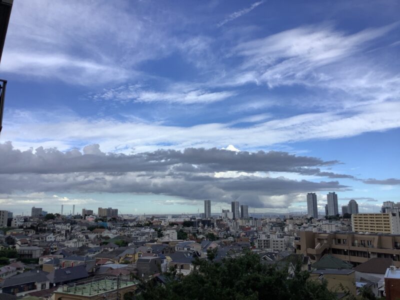 かめ太郎賞 「街を飲みこんで」(ガーデン山ヒルズ)