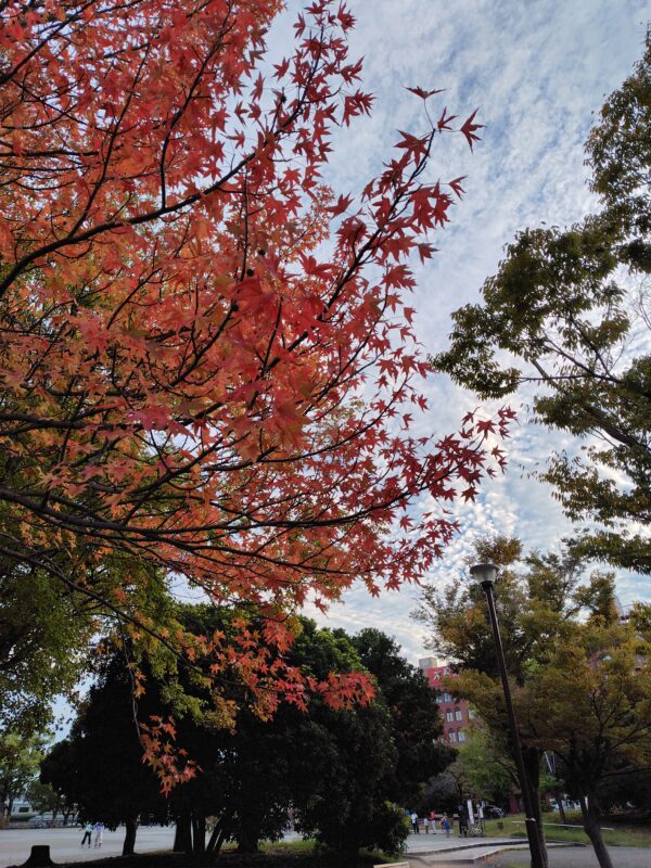 かめ太郎賞「パレット」(反町公園)