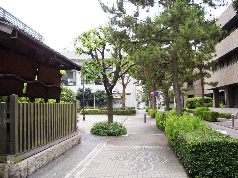 神奈川宿歴史の道の松並木