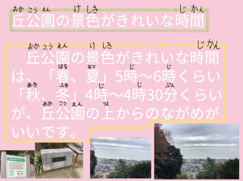 【かめ太郎】西寺尾第二3-2（丘公園の景色がきれいな時間）